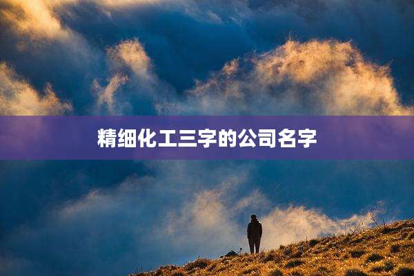 精细化工三字的公司名字