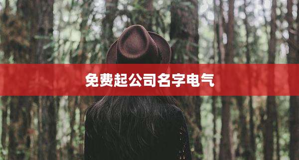 免费起公司名字电气