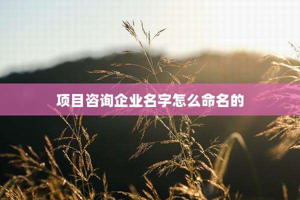 项目咨询企业名字怎么命名的
