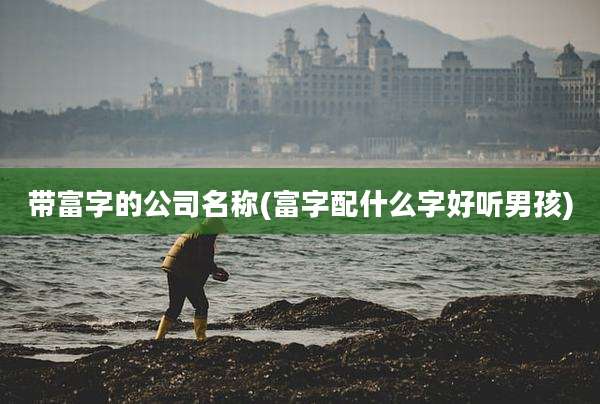 带富字的公司名称(富字配什么字好听男孩)