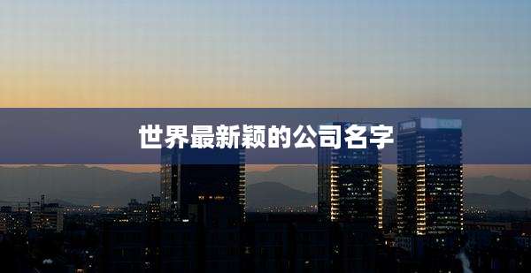 世界最新颖的公司名字
