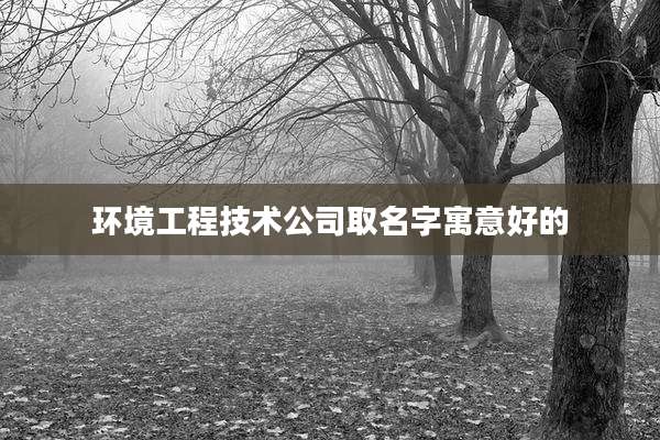 环境工程技术公司取名字寓意好的