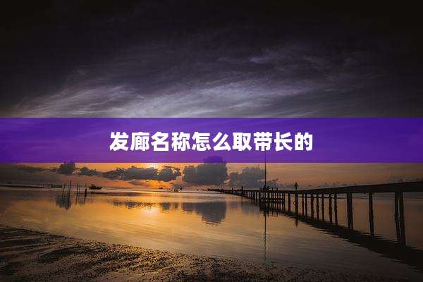 发廊名称怎么取带长的