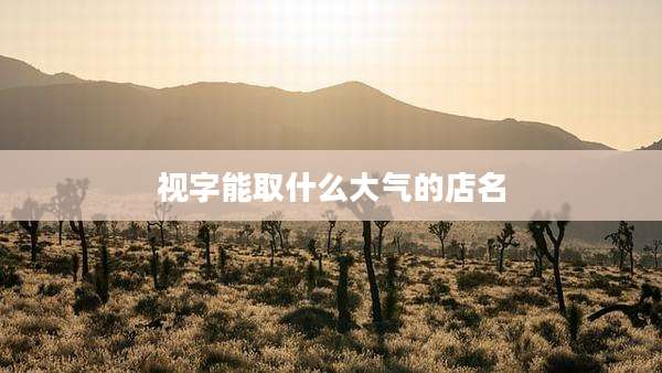 视字能取什么大气的店名