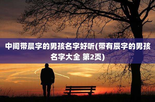中间带晨字的男孩名字好听(带有辰字的男孩名字大全 第2页)