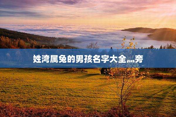 姓湾属兔的男孩名字大全灬旁