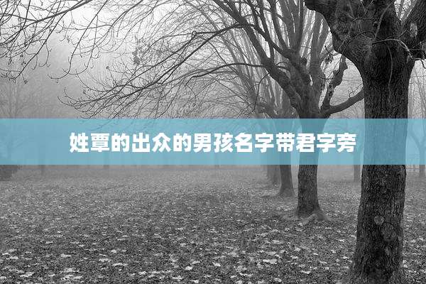 姓覃的出众的男孩名字带君字旁