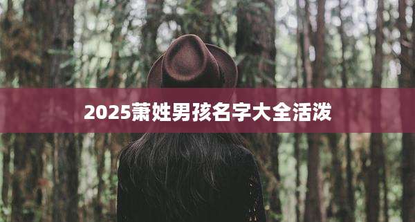 2025萧姓男孩名字大全活泼