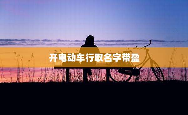 开电动车行取名字带盈