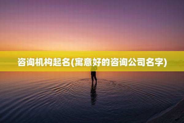 咨询机构起名(寓意好的咨询公司名字)