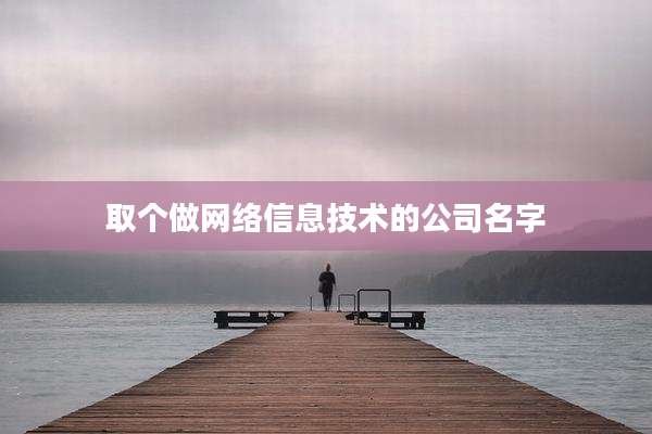取个做网络信息技术的公司名字