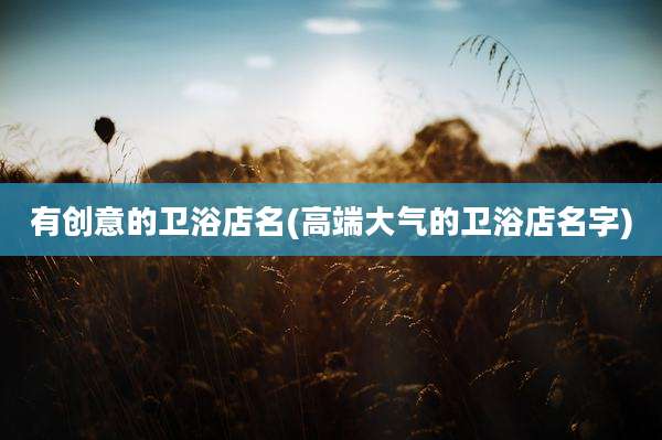 有创意的卫浴店名(高端大气的卫浴店名字)