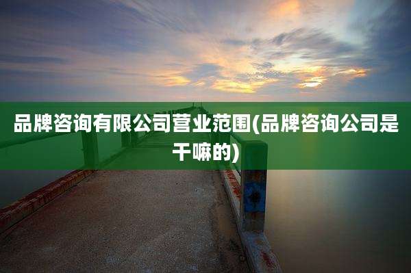 品牌咨询有限公司营业范围(品牌咨询公司是干嘛的)