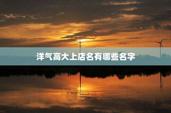 洋气高大上店名有哪些名字