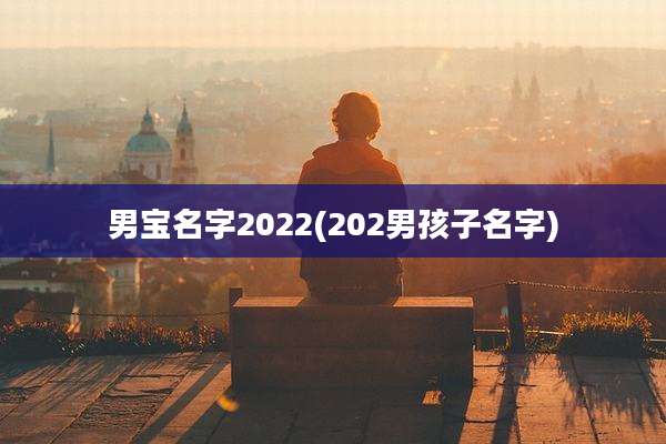 男宝名字2022(202男孩子名字)