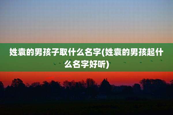 姓袁的男孩子取什么名字(姓袁的男孩起什么名字好听)