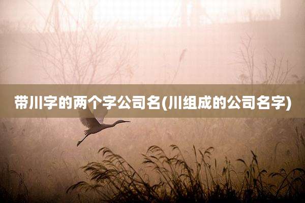 带川字的两个字公司名(川组成的公司名字)