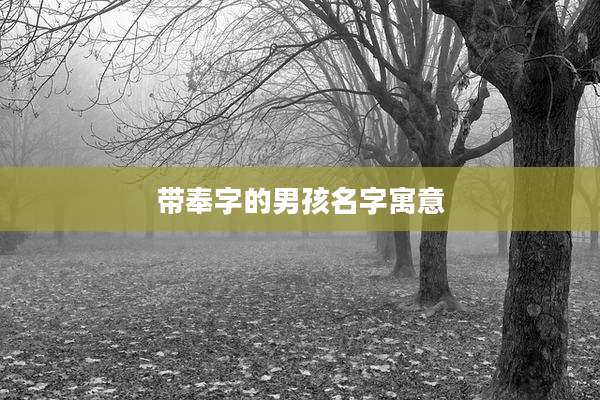 带奉字的男孩名字寓意