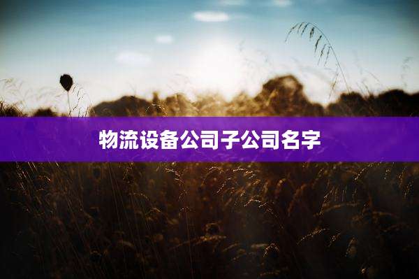 物流设备公司子公司名字