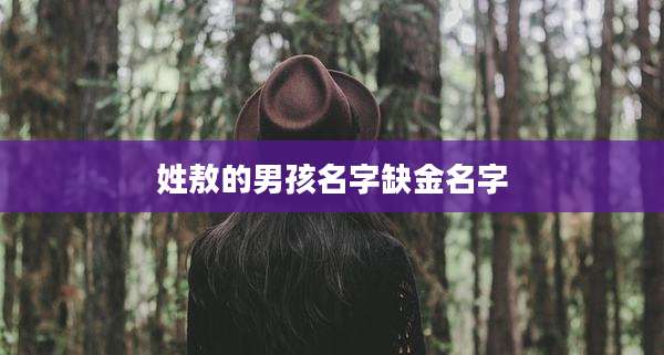 姓敖的男孩名字缺金名字