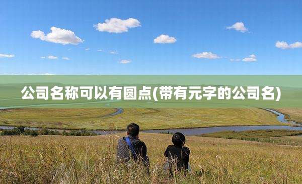 公司名称可以有圆点(带有元字的公司名)