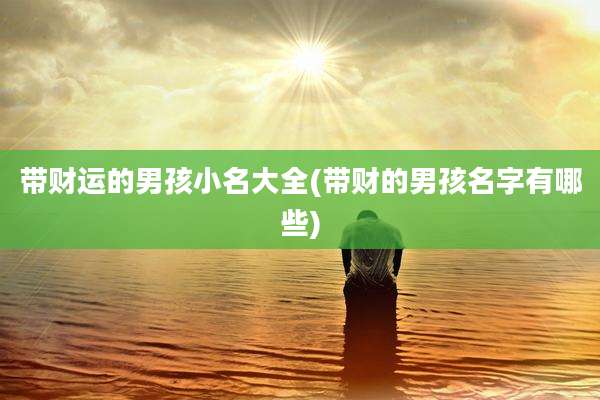 带财运的男孩小名大全(带财的男孩名字有哪些)