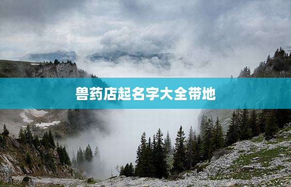 兽药店起名字大全带地