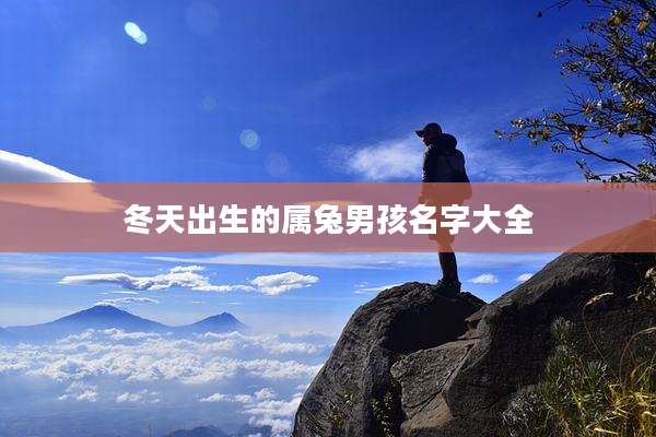 冬天出生的属兔男孩名字大全