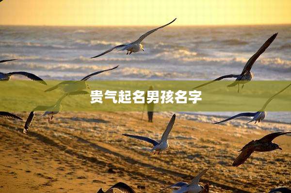贵气起名男孩名字