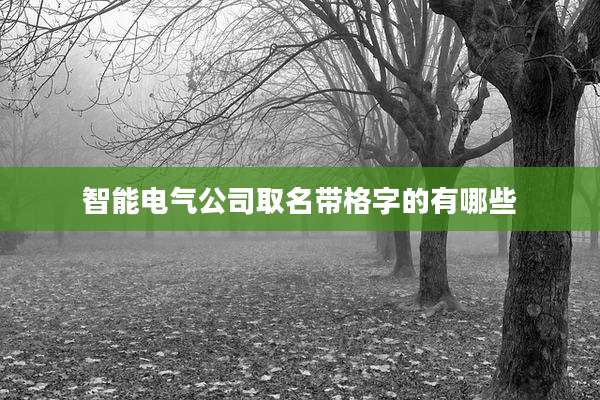 智能电气公司取名带格字的有哪些