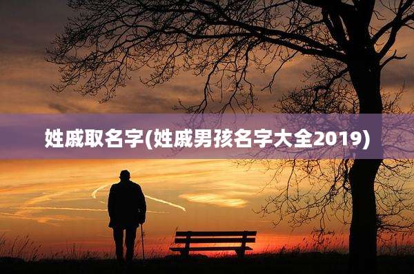 姓戚取名字(姓戚男孩名字大全2019)