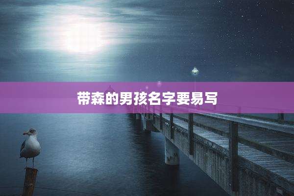 带森的男孩名字要易写
