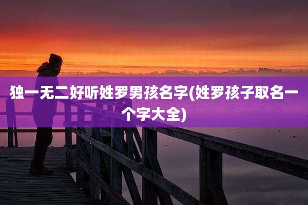 独一无二好听姓罗男孩名字(姓罗孩子取名一个字大全)
