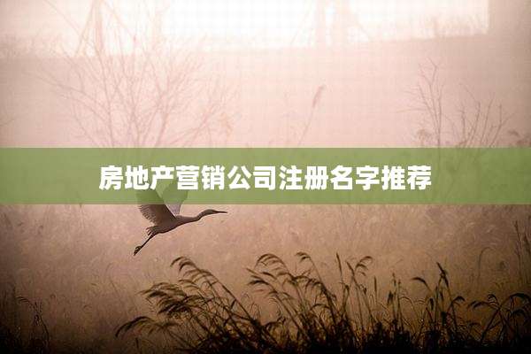 房地产营销公司注册名字推荐