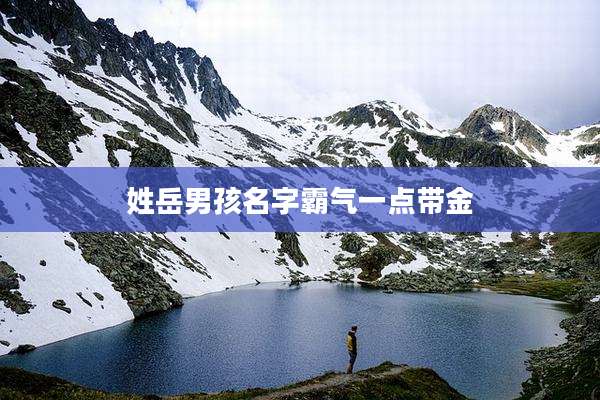 姓岳男孩名字霸气一点带金