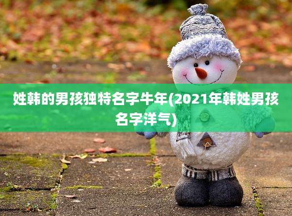 姓韩的男孩独特名字牛年(2021年韩姓男孩名字洋气)