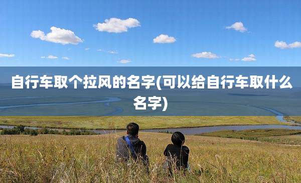 自行车取个拉风的名字(可以给自行车取什么名字)
