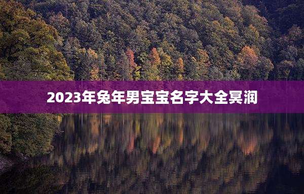 2023年兔年男宝宝名字大全冥润