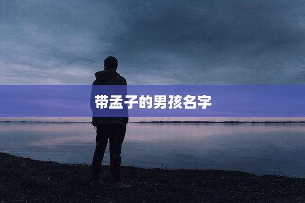 带孟子的男孩名字