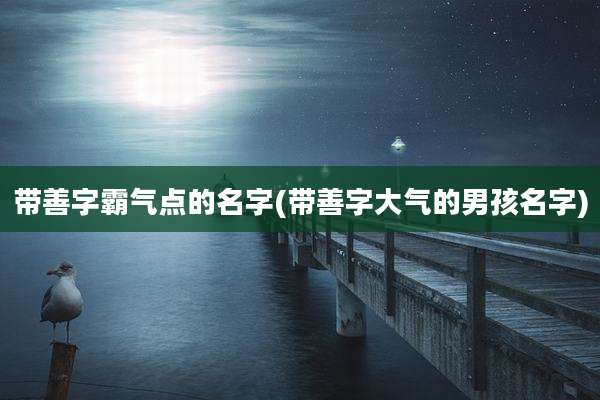 带善字霸气点的名字(带善字大气的男孩名字)