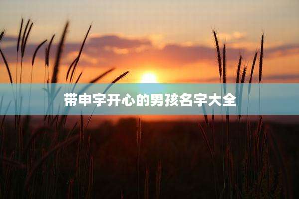 带申字开心的男孩名字大全
