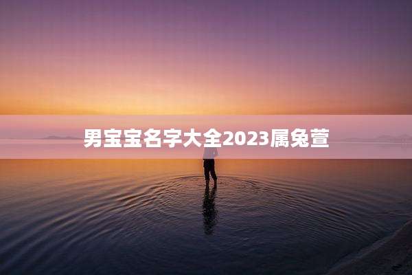 男宝宝名字大全2023属兔萱