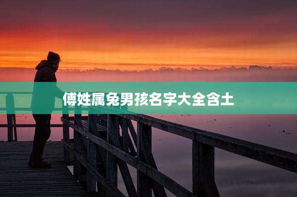 傅姓属兔男孩名字大全含土