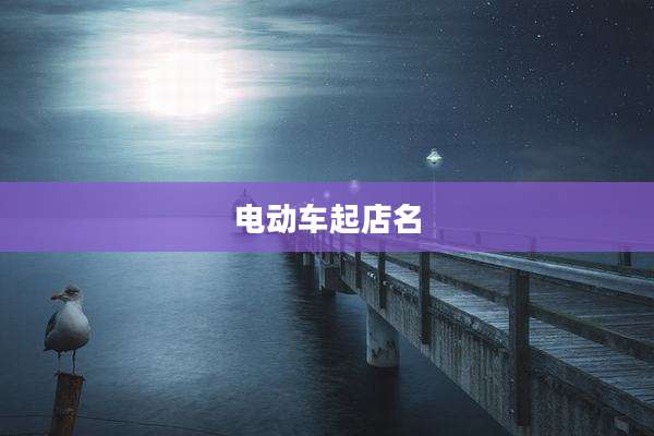 电动车起店名