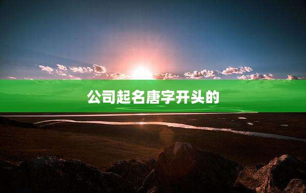 公司起名唐字开头的