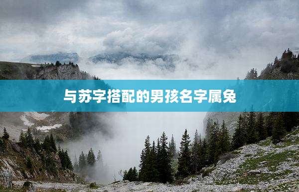与苏字搭配的男孩名字属兔