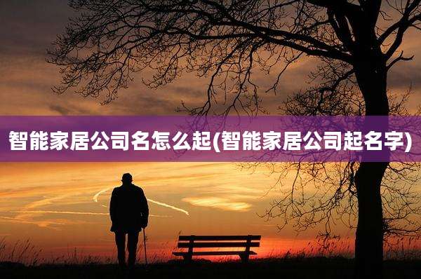 智能家居公司名怎么起(智能家居公司起名字)