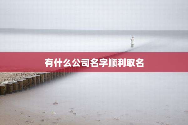 有什么公司名字顺利取名