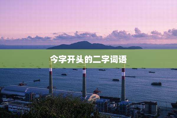 今字开头的二字词语