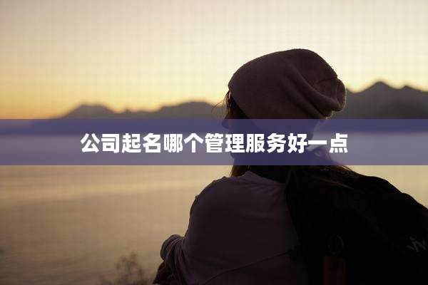 公司起名哪个管理服务好一点